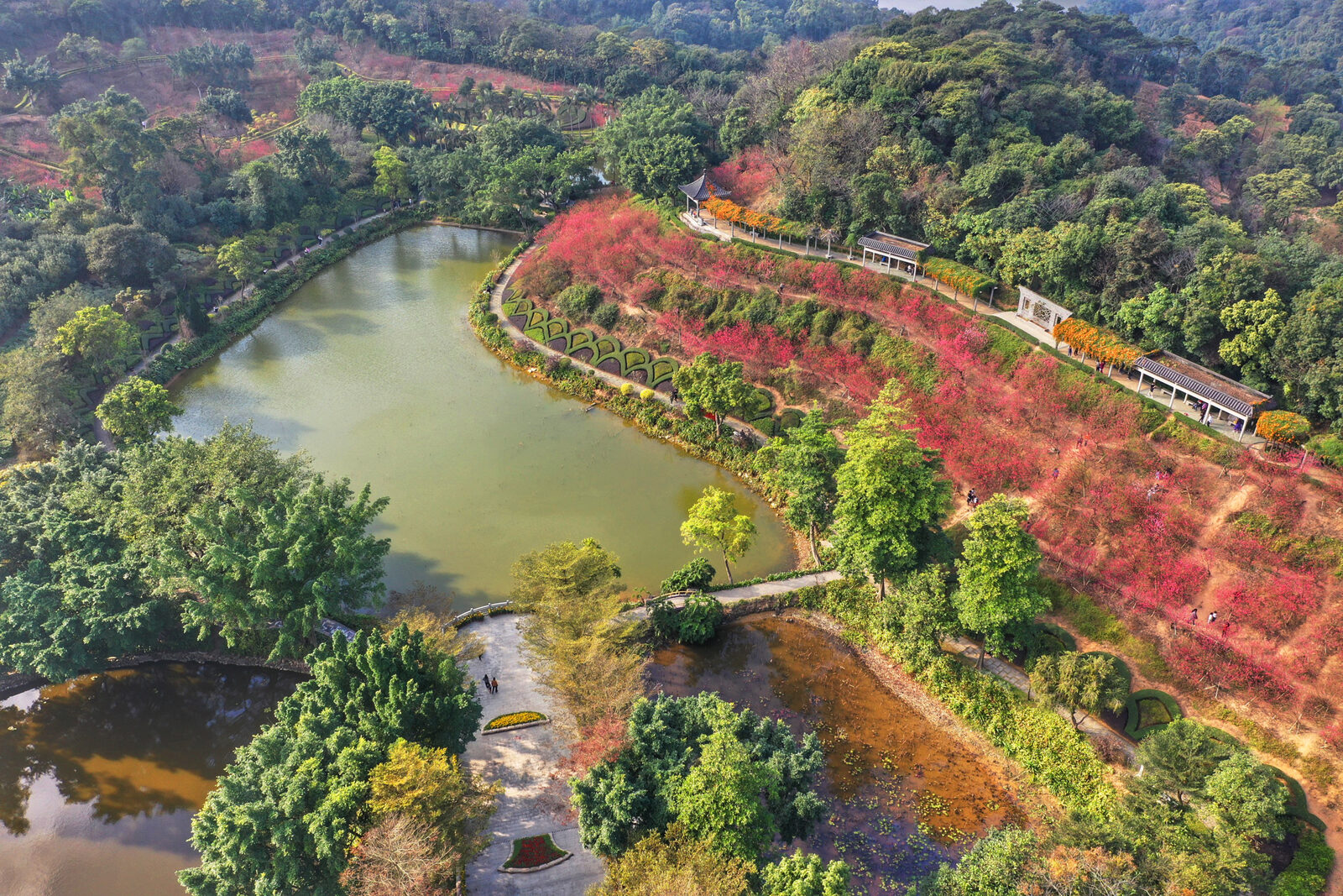 서초산 도화원
